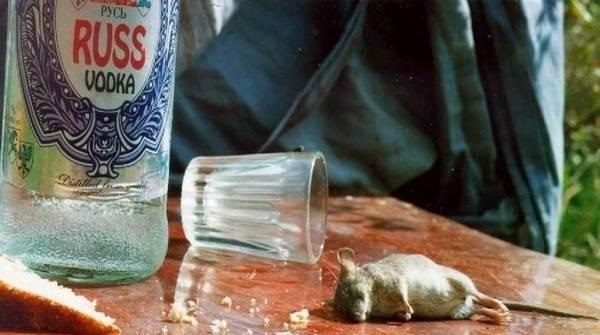 умом россию не понять, угадай страну, россия удивительная страна