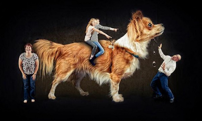 Необычайные, дурацкие, смешные, странные, семейные портреты