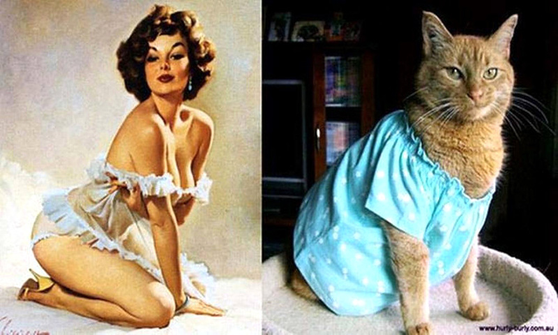 Коты, в пин-ап девушки, ретро-плакат, Cats That Look Like Pin Up Girls, Hurly-Burly