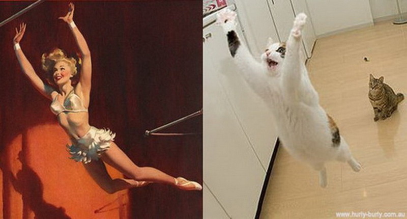 Коты, в пин-ап девушки, ретро-плакат, Cats That Look Like Pin Up Girls, Hurly-Burly