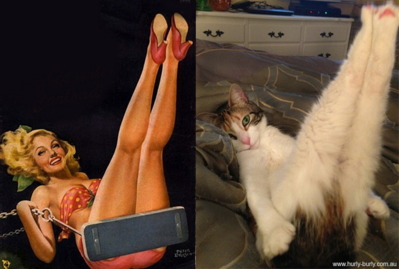 Коты, в пин-ап девушки, ретро-плакат, Cats That Look Like Pin Up Girls, Hurly-Burly
