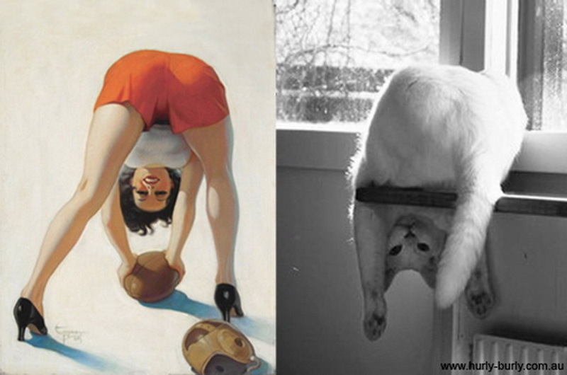 Коты, в пин-ап девушки, ретро-плакат, Cats That Look Like Pin Up Girls, Hurly-Burly