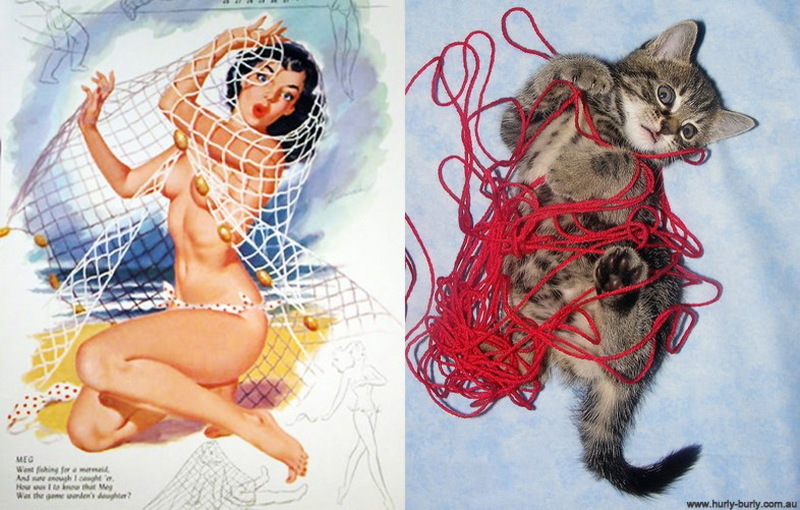 Коты, в пин-ап девушки, ретро-плакат, Cats That Look Like Pin Up Girls, Hurly-Burly