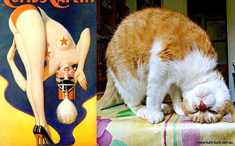 Коты, в пин-ап девушки, ретро-плакат, Cats That Look Like Pin Up Girls, Hurly-Burly