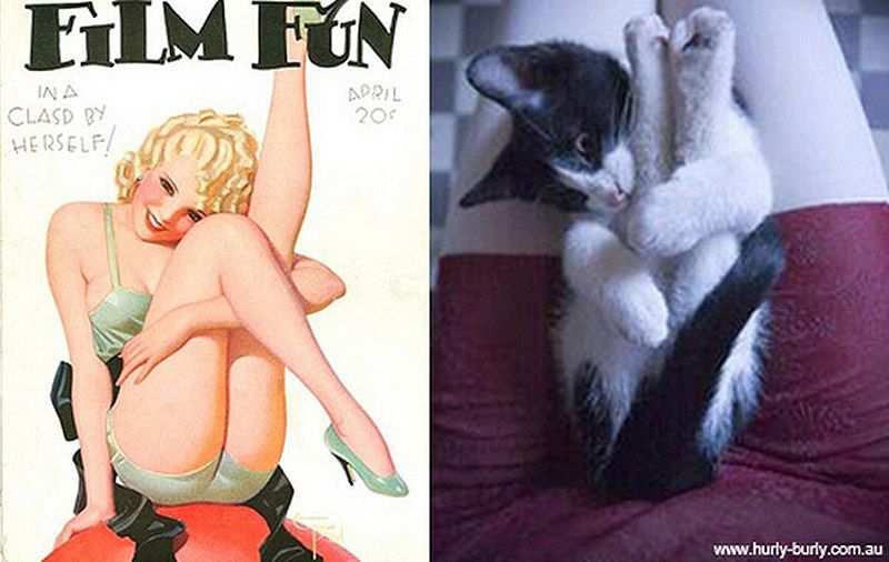 Коты, в пин-ап девушки, ретро-плакат, Cats That Look Like Pin Up Girls, Hurly-Burly