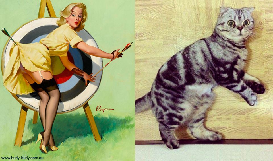 Коты, в пин-ап девушки, ретро-плакат, Cats That Look Like Pin Up Girls, Hurly-Burly
