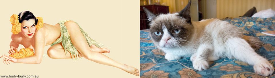 Коты, в пин-ап девушки, ретро-плакат, Cats That Look Like Pin Up Girls, Hurly-Burly