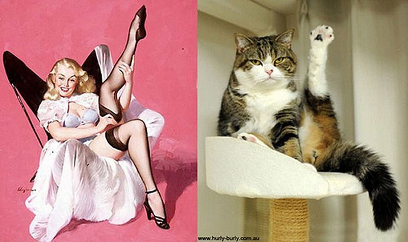Коты, в пин-ап девушки, ретро-плакат, Cats That Look Like Pin Up Girls, Hurly-Burly
