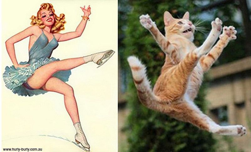 Коты, в пин-ап девушки, ретро-плакат, Cats That Look Like Pin Up Girls, Hurly-Burly