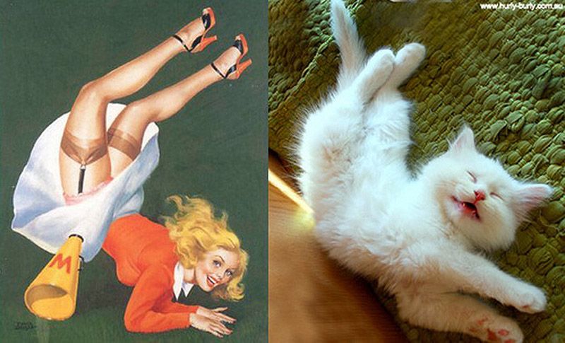Коты, в пин-ап девушки, ретро-плакат, Cats That Look Like Pin Up Girls, Hurly-Burly