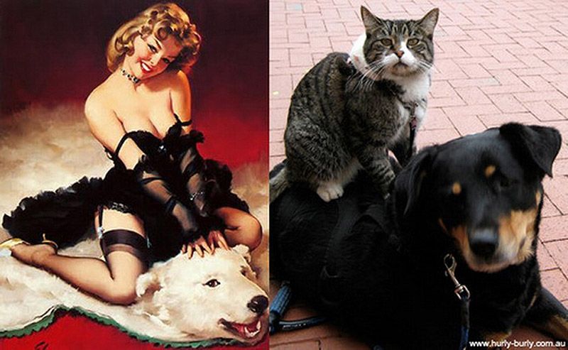 Коты, в пин-ап девушки, ретро-плакат, Cats That Look Like Pin Up Girls, Hurly-Burly