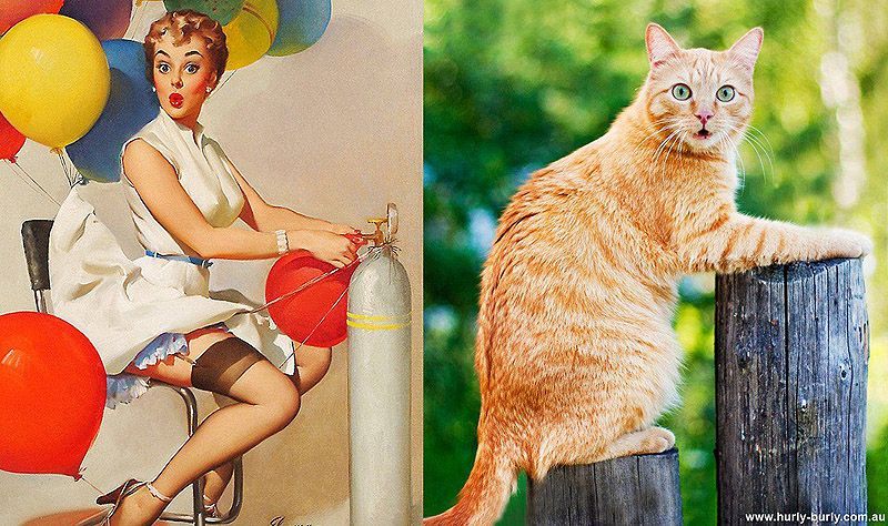 Коты, в пин-ап девушки, ретро-плакат, Cats That Look Like Pin Up Girls, Hurly-Burly