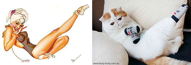 Коты, в пин-ап девушки, ретро-плакат, Cats That Look Like Pin Up Girls, Hurly-Burly