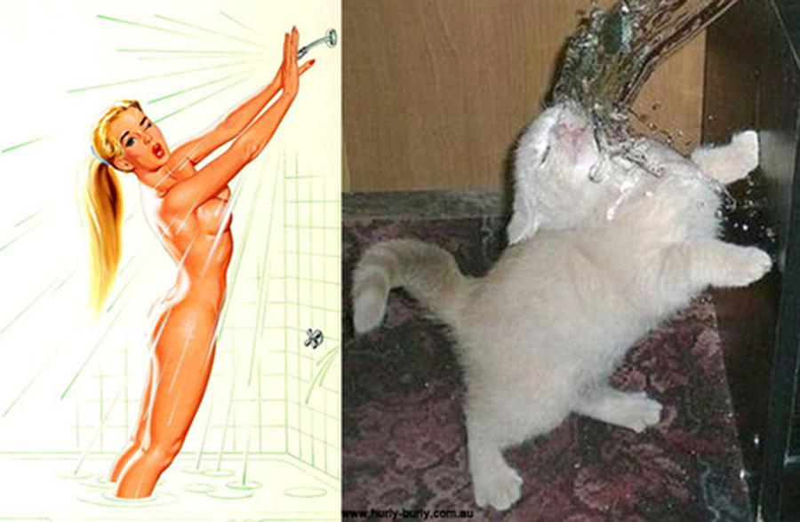 Коты, в пин-ап девушки, ретро-плакат, Cats That Look Like Pin Up Girls, Hurly-Burly
