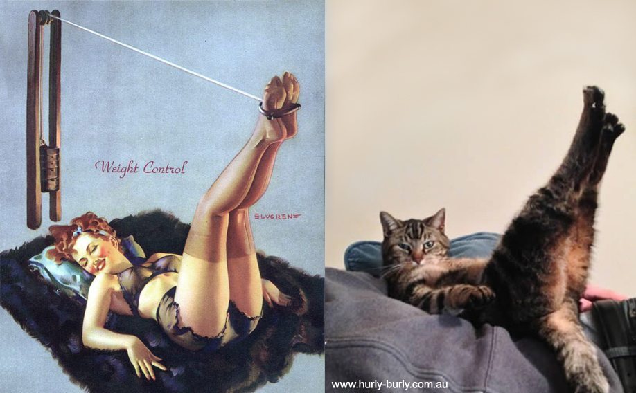 Коты, в пин-ап девушки, ретро-плакат, Cats That Look Like Pin Up Girls, Hurly-Burly