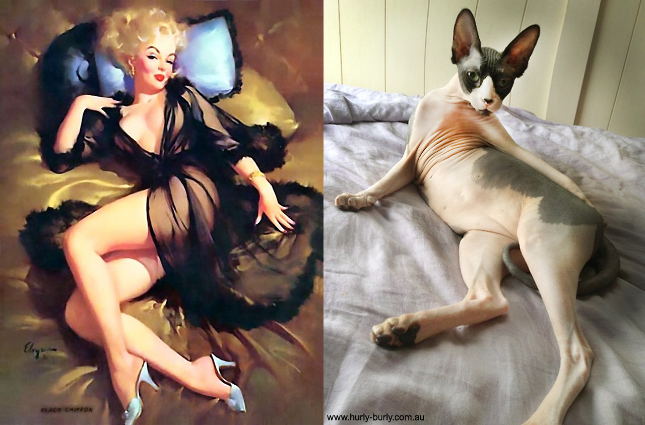 Коты, в пин-ап девушки, ретро-плакат, Cats That Look Like Pin Up Girls, Hurly-Burly