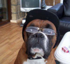 Очки это круто! Сотни фотографий для маленького Ноя Фишера, чтобы он не стеснялся носить очки Сотни, фотографии, Facebook, Ной Фишер, Noah Fisher, не стеснялся, носить, очки