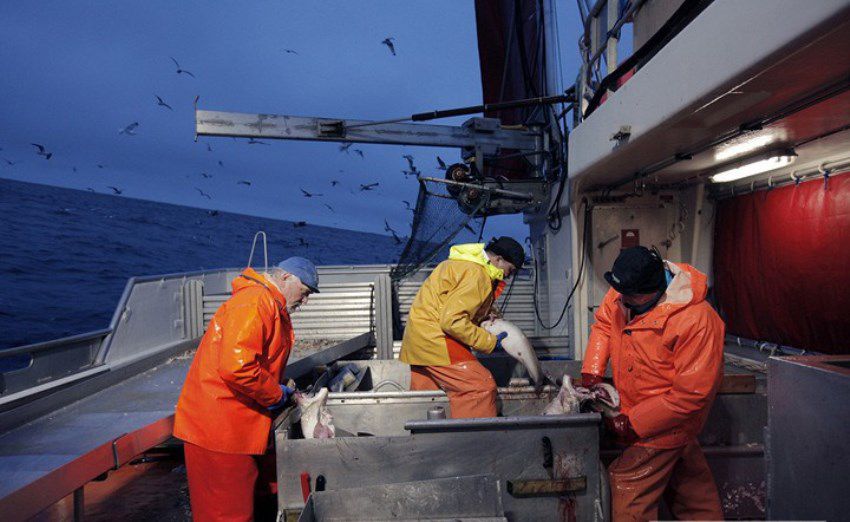 1 января 2014, новые законы, подорожает, изменения ждут россиян