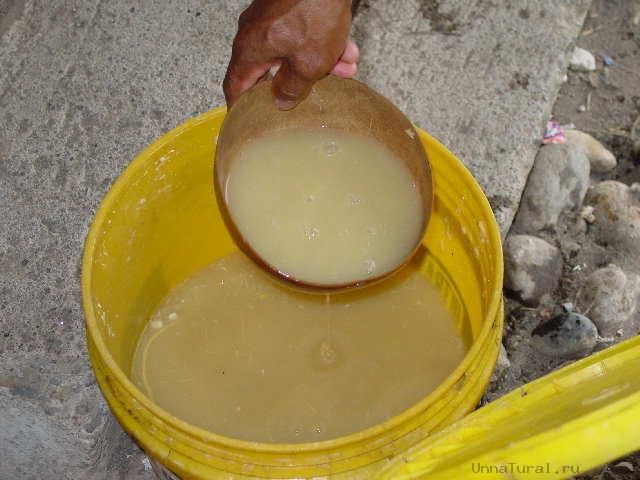 Блюда и напитки, в которых используются продукты человеческого организма Блюда, напитки, продукты, ингредиенты, организма, человека