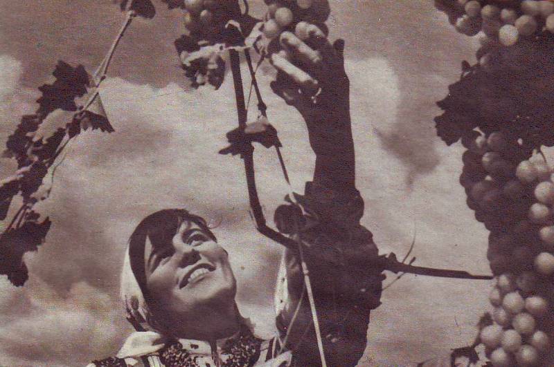 советская женщина,шагин,ссср