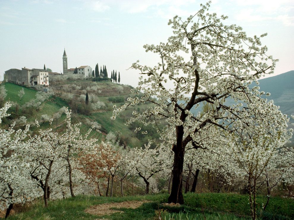 Ранняя весна в италии