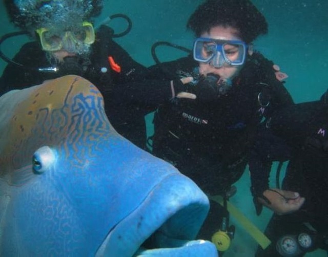 Животные, проказники, влезли в кадр