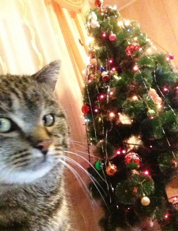 Позитив, юмор, смешные фотографии,прикол