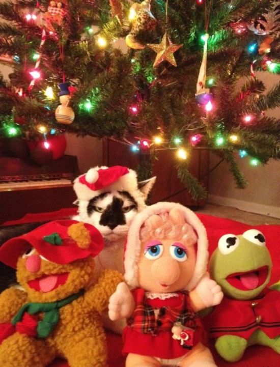 Позитив, юмор, смешные фотографии,прикол