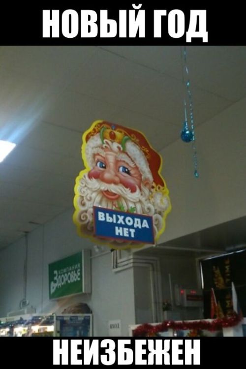 Позитив, юмор, смешные фотографии,прикол