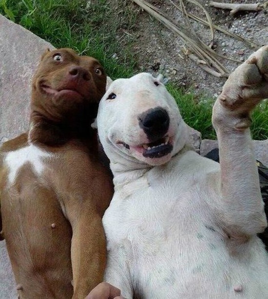 Позитив, юмор, смешные фотографии,прикол