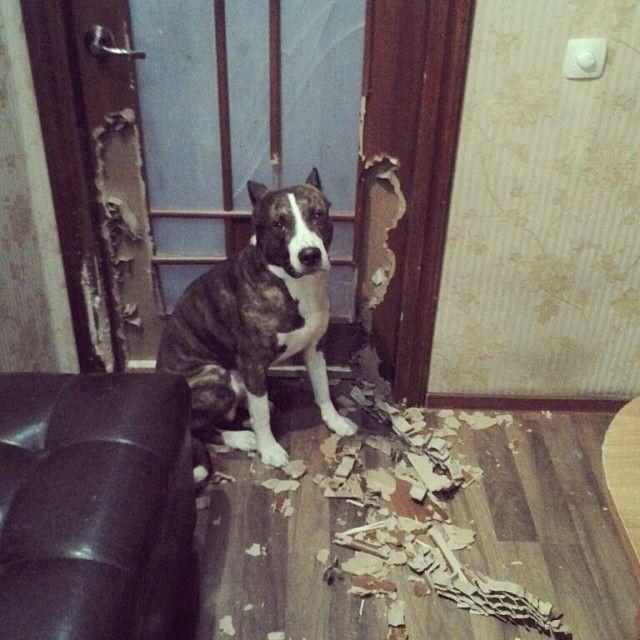 Позитив, юмор, смешные фотографии,прикол