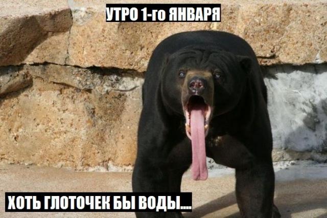 Позитив, юмор, смешные фотографии,прикол