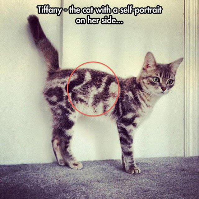 Смешные случаи,удивительные совпадения, случайности