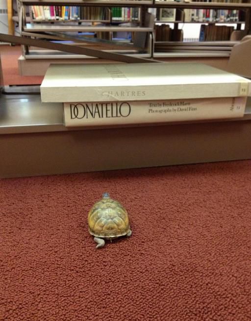 Смешные случаи,удивительные совпадения, случайности