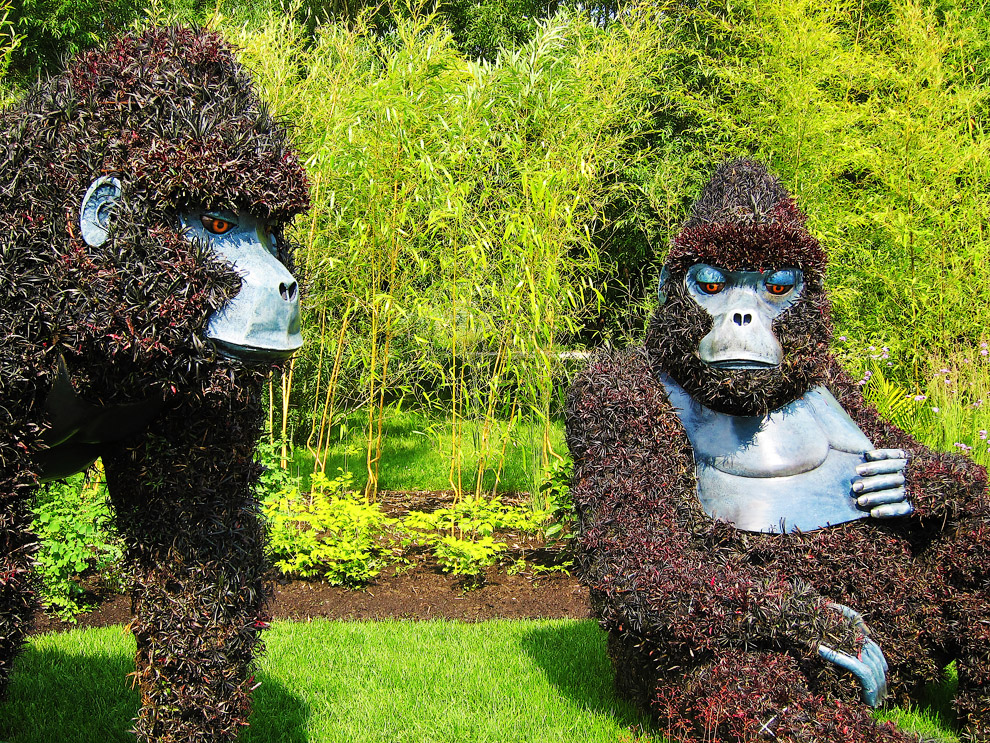 скульптуры из растений, фестиваль в Монреале, Mosaicultures Internationales de Montreal 2013