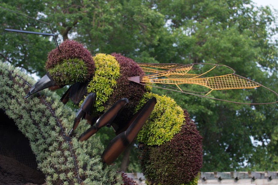 скульптуры из растений, фестиваль в Монреале, Mosaicultures Internationales de Montreal 2013