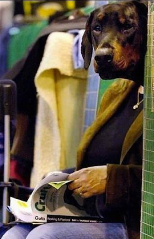 фото в нужный момент, смешные фото, милые фотографии, смешные животные