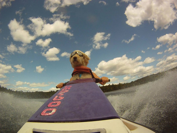 фото в нужный момент, смешные фото, милые фотографии, смешные животные