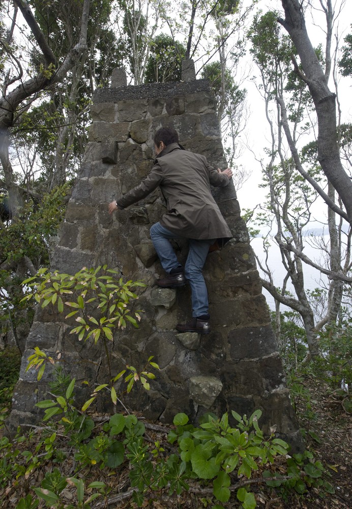 ООН запретил Японии заниматься китобойным промыслом запрет китобойного промысла Японии, охота на китов, киты Япония, Австралия в суд на Японию