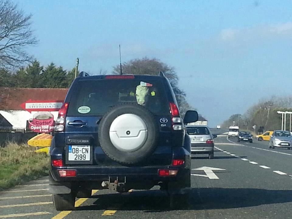 Тем временем в разных странах мира, смешное из разных стран