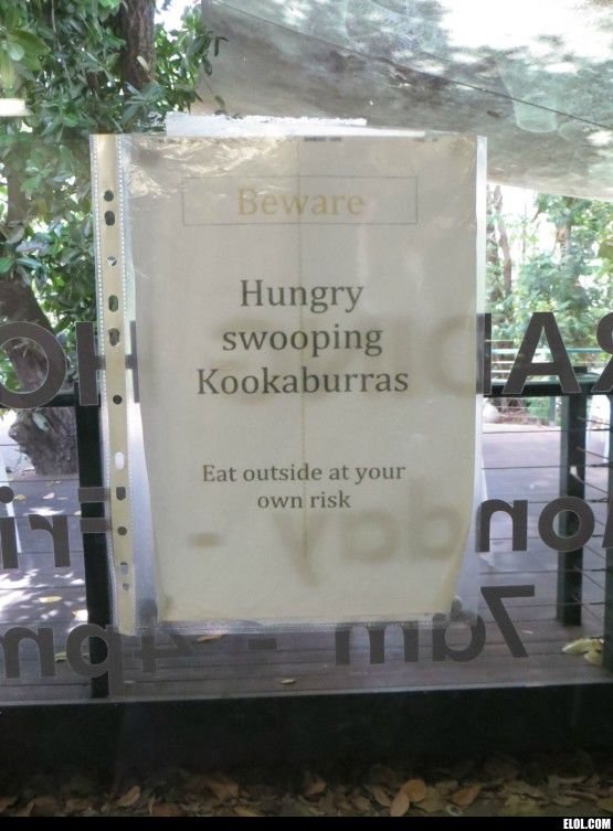 Тем временем в разных странах мира, смешное из разных стран