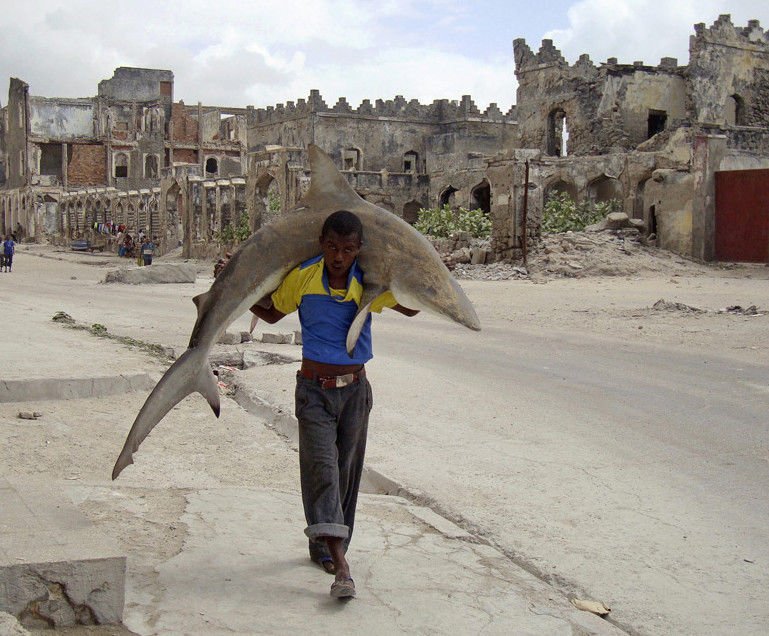 Тем временем в разных странах мира, смешное из разных стран