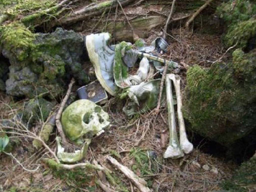 Аокигахара Дзюкай, японский лес самоубийц, Aokigahara