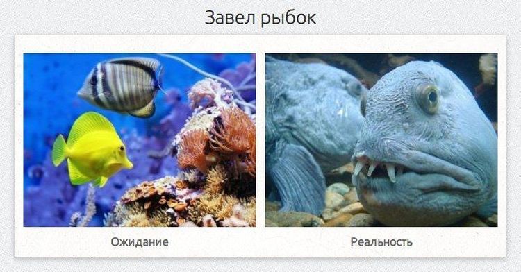 Коллекция смешных сравнений в стиле ожидание против реальности, смешная подборка, фото, смешные картинки