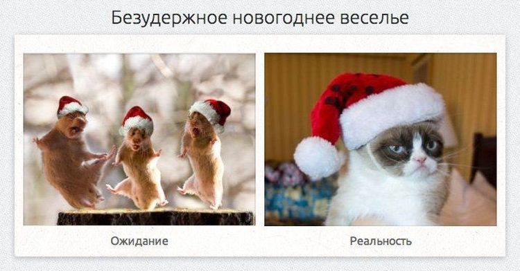 Коллекция смешных сравнений в стиле ожидание против реальности, смешная подборка, фото, смешные картинки