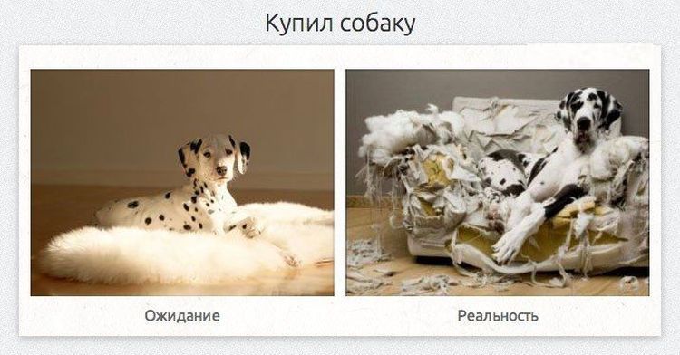 Коллекция смешных сравнений в стиле ожидание против реальности, смешная подборка, фото, смешные картинки