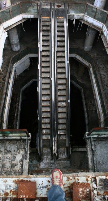 Сгоревший и заброшенный торговый центр Бангкока стал домом для необычных обитателей обитатели торговый центр Бангкок, живет в торговом центре Бангкока, рыбы в торговом центре Банкгог