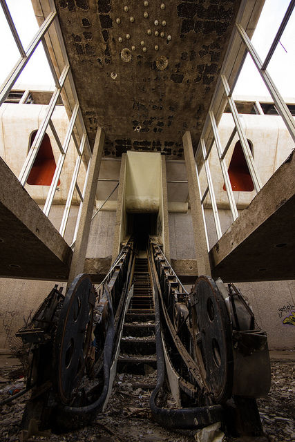 Сгоревший и заброшенный торговый центр Бангкока стал домом для необычных обитателей обитатели торговый центр Бангкок, живет в торговом центре Бангкока, рыбы в торговом центре Банкгог