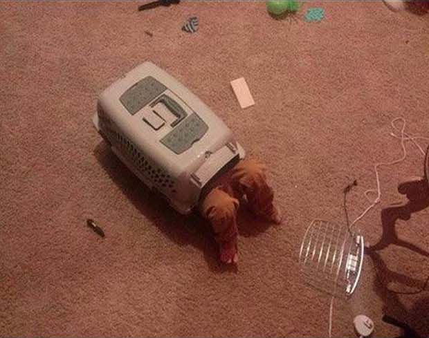 странные дети, дети смешные ситуации, странные занятия дети фото, 