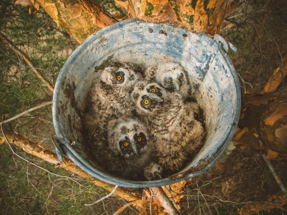 National Geographic за сентябрь 2014, лучшие фотографии National Geographic